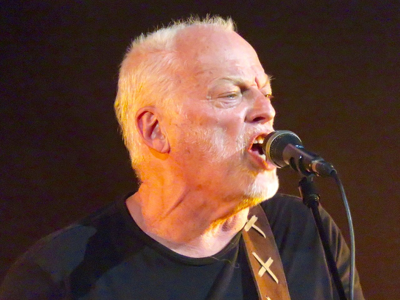 David Gilmour