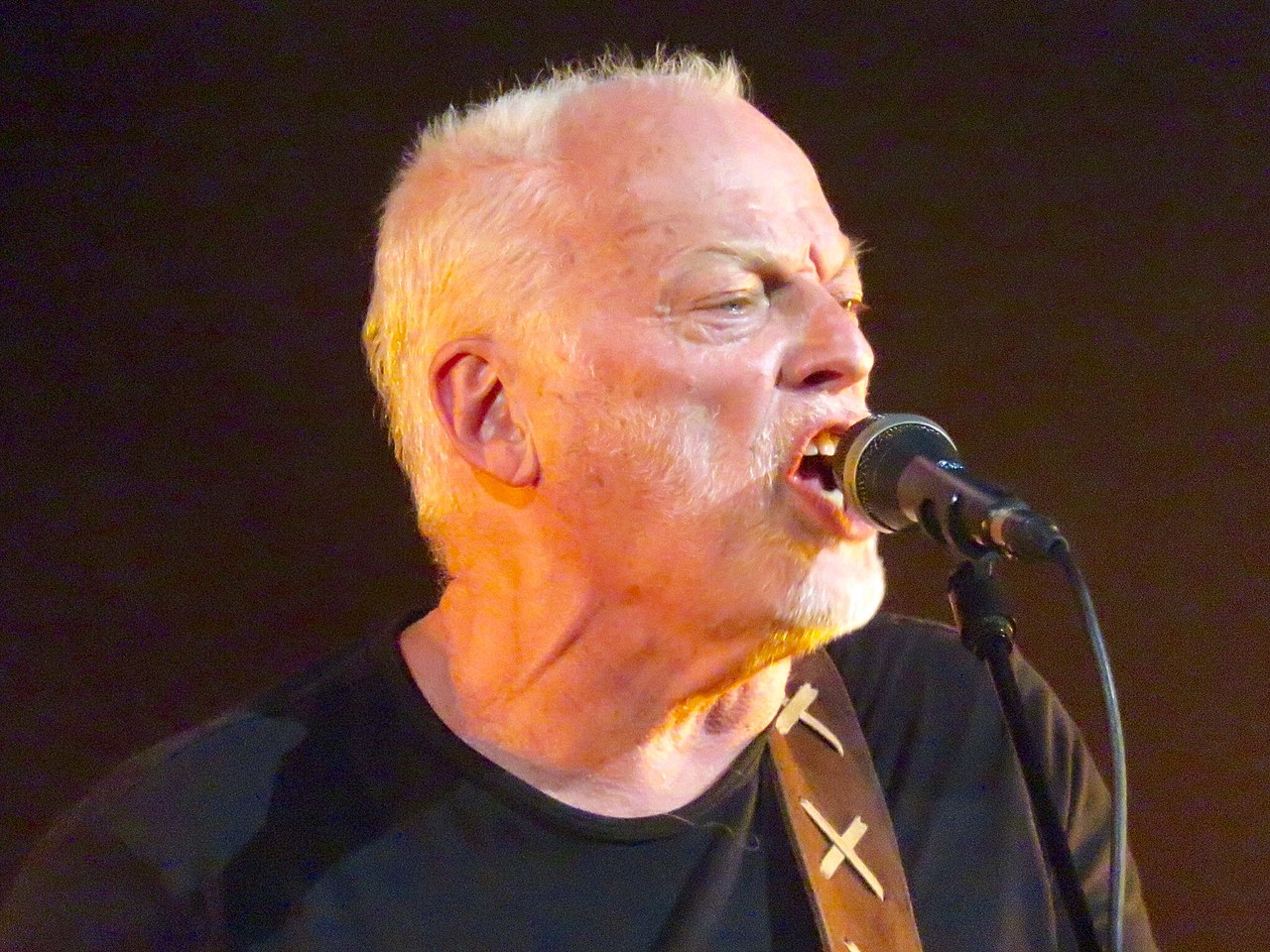 David Gilmour