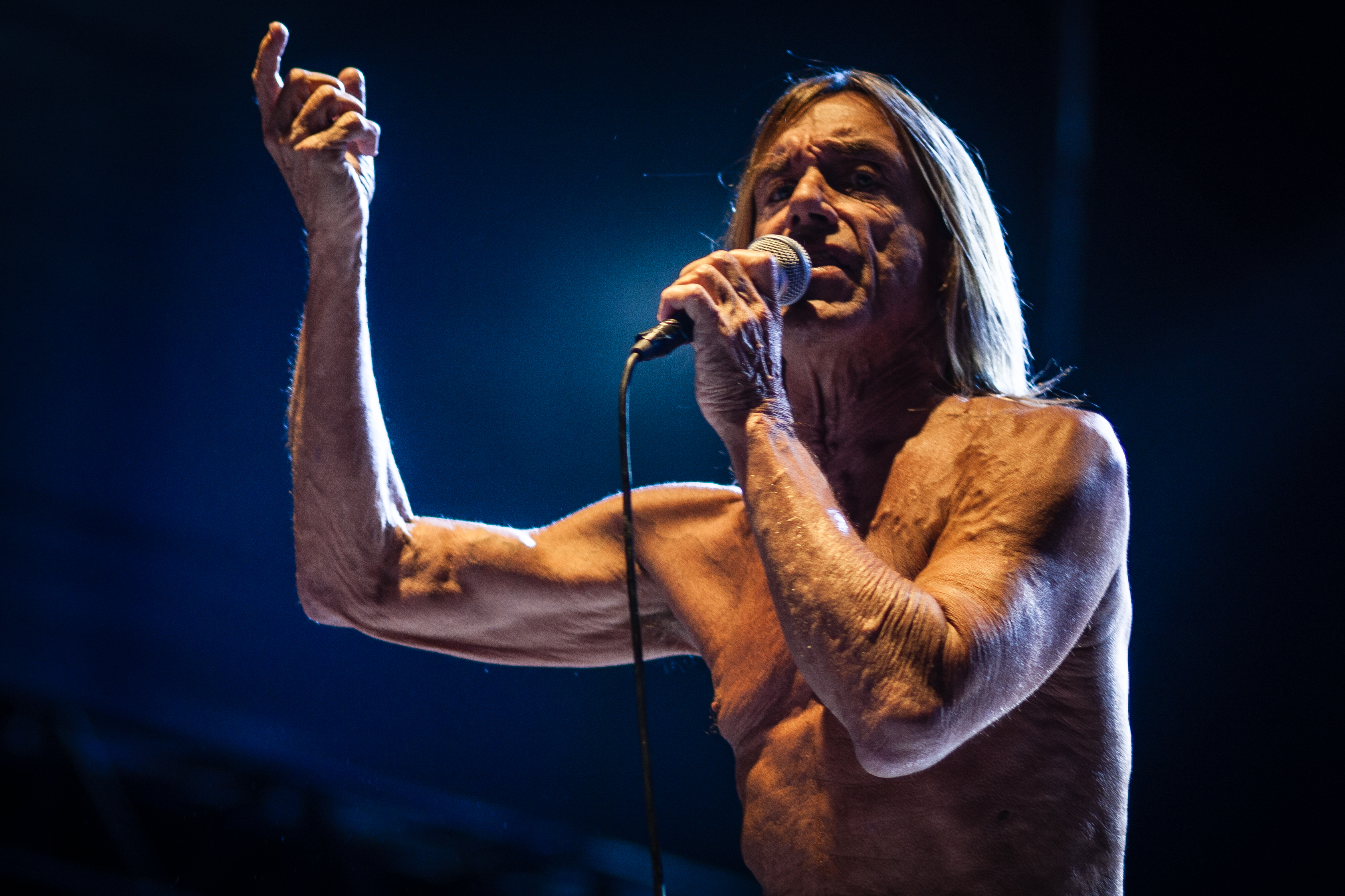 Iggy Pop