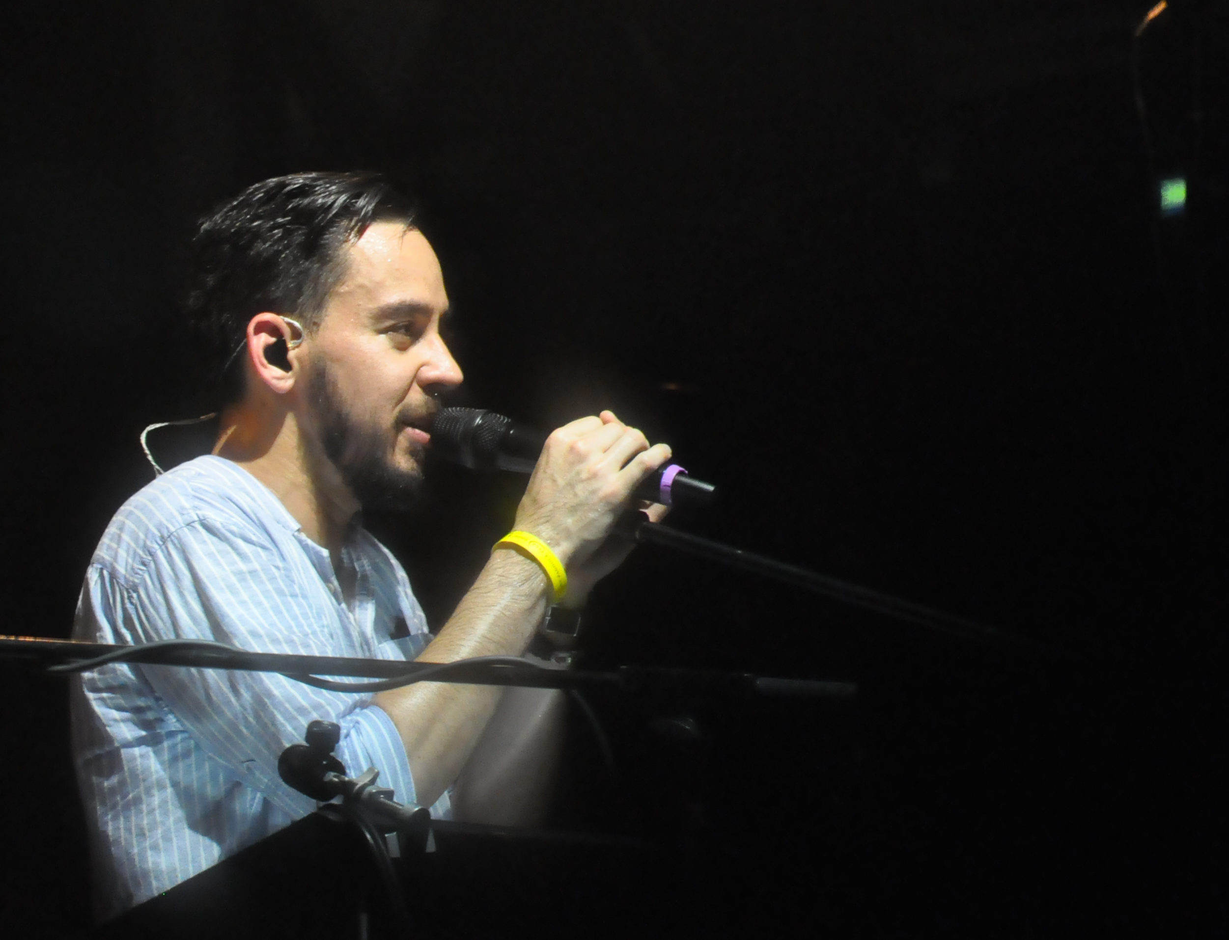 Mike Shinoda