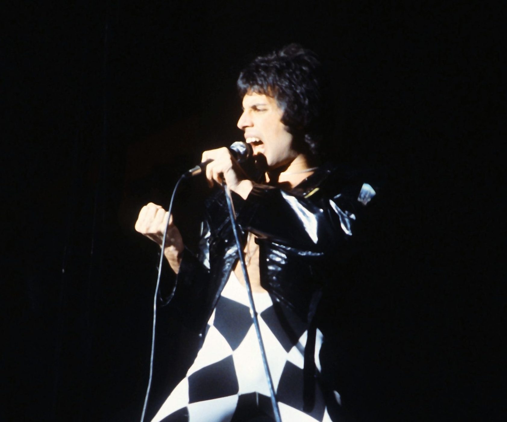 Freddie Mercury rock