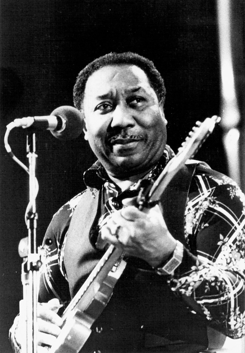 muddy waters incidente auto